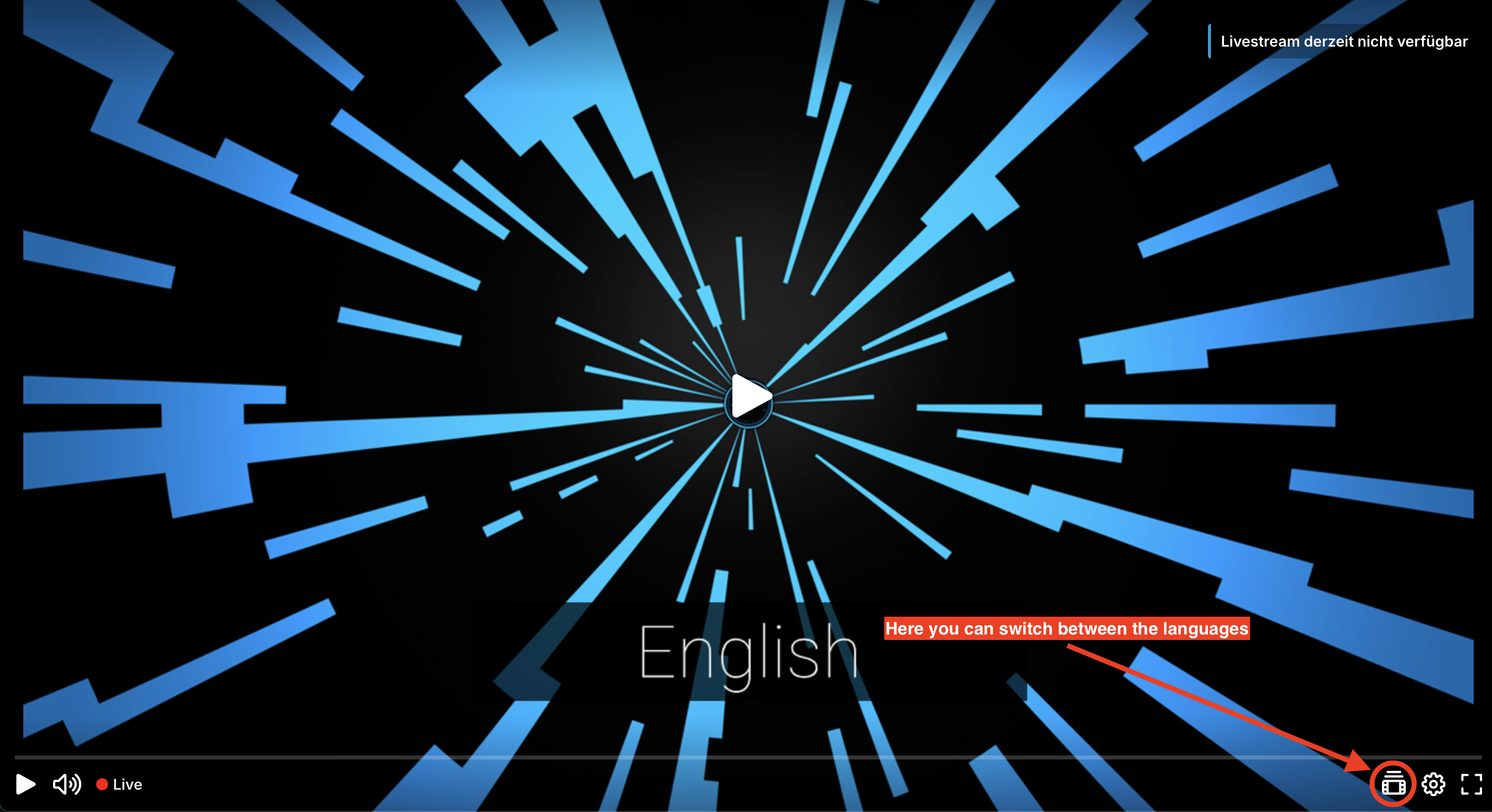 Icon to change the language